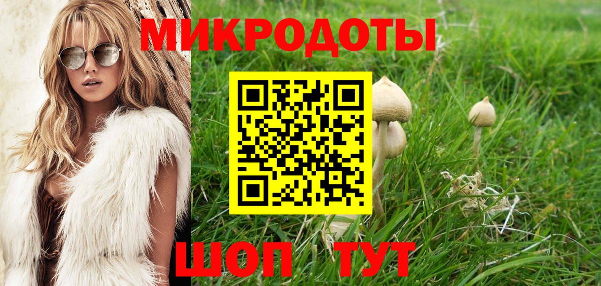 Острогожск  Галлюциногенные грибы ЛСД  Вход с VPN 