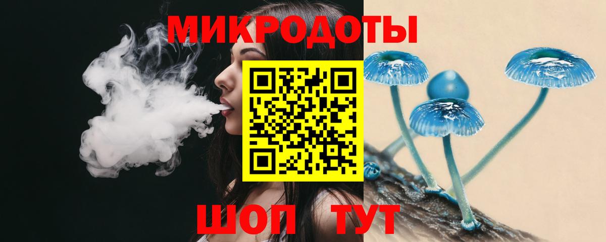 Галлюциногенные грибы Psilocybe Острогожск