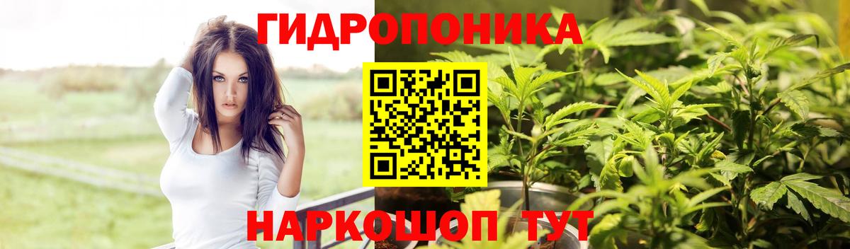 Бошки марихуана сатива  Каннабис SATIVA & INDICA  Острогожск  Вход с VPN 